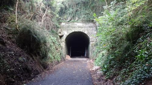 Wye Valley Greenway 4