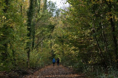 Wye Valley Greenway 5