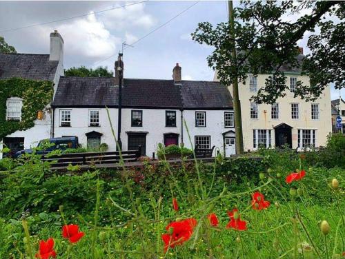 bridge street behind poppies