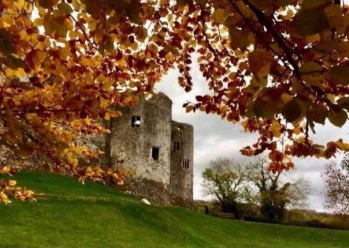 chepstow castle and autumn coloured leaves