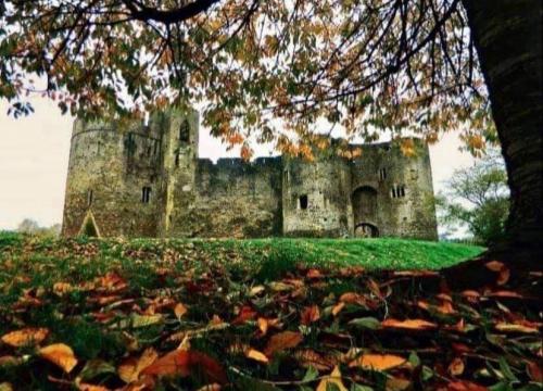 chepstow castle through fallen autumn leaves